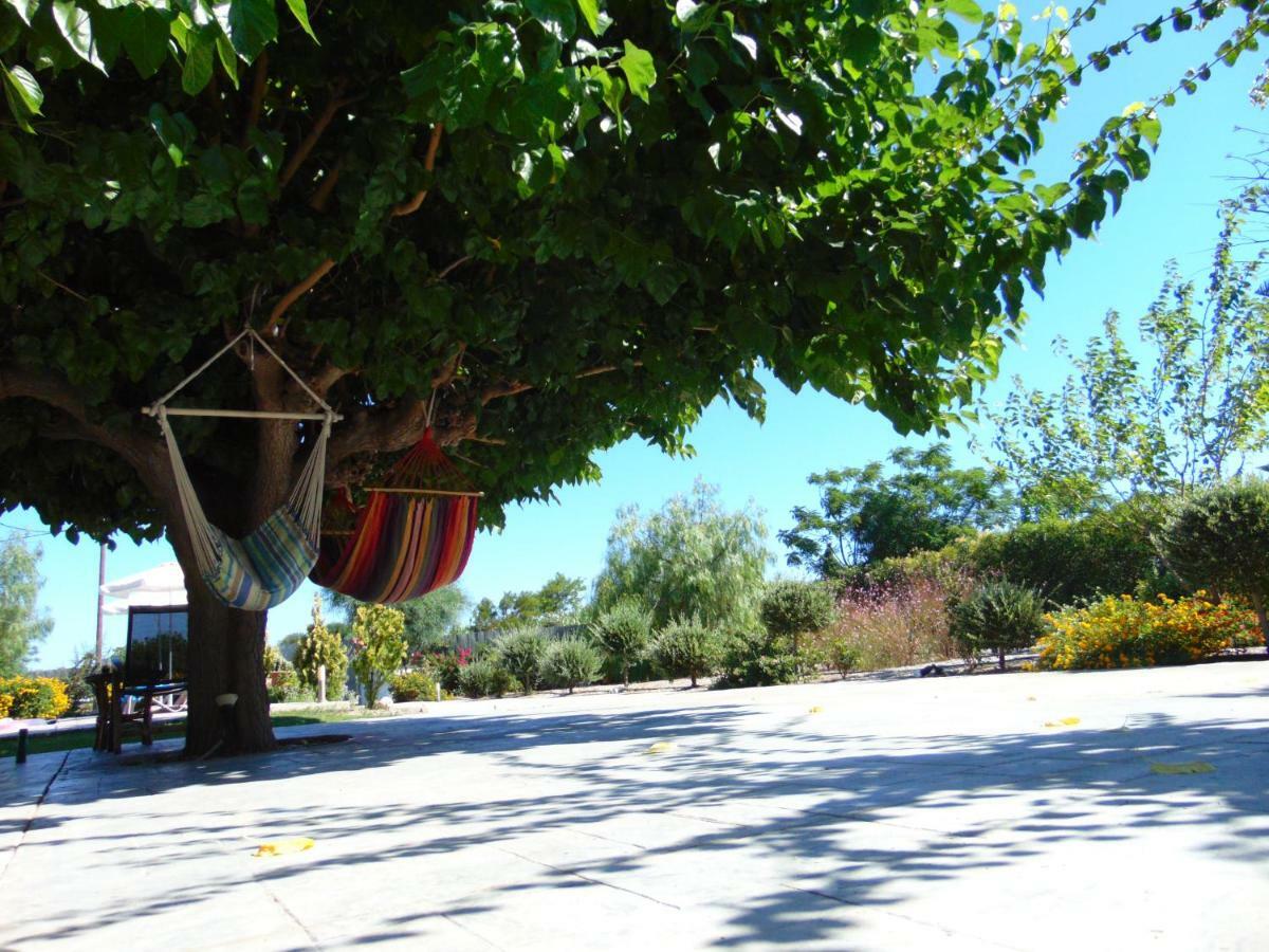 Villa Dora Faliraki Extérieur photo