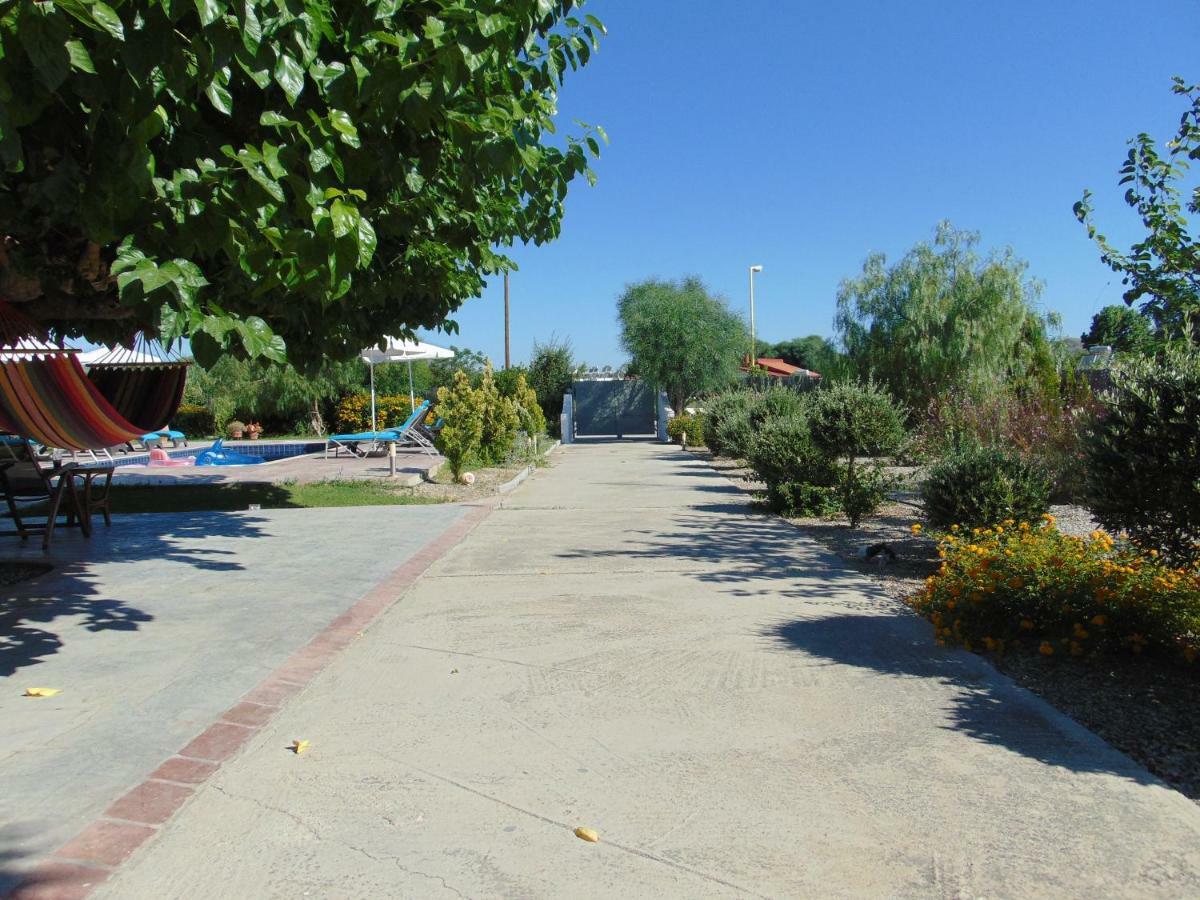 Villa Dora Faliraki Extérieur photo
